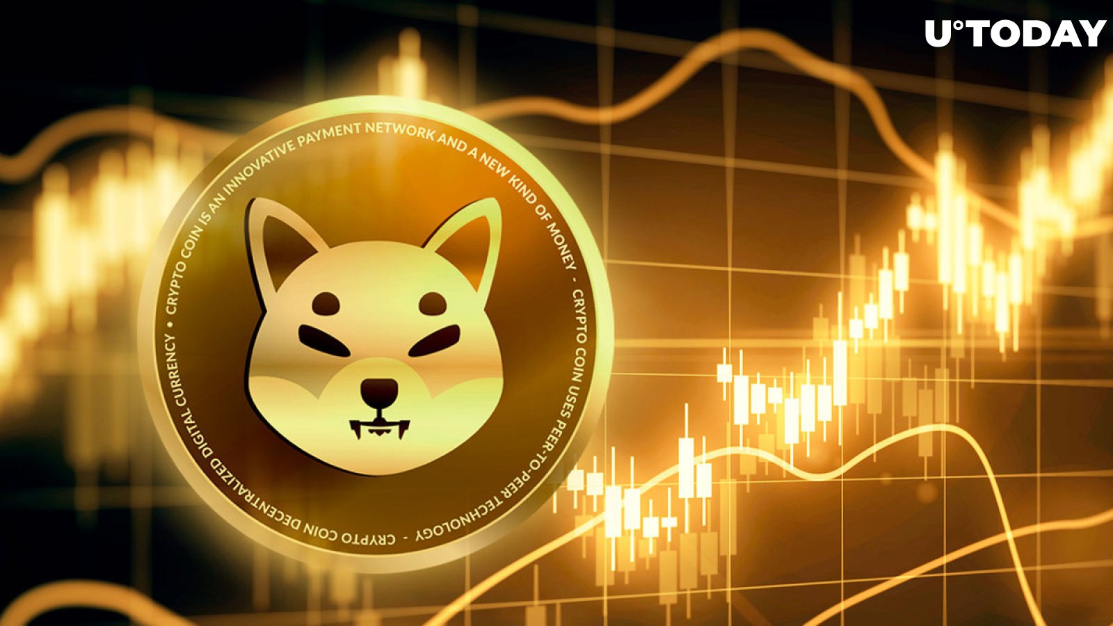 Shiba Inu (SHIB) On-chain Flows Skyrocket by 1,170%, Here's What's Driving It
