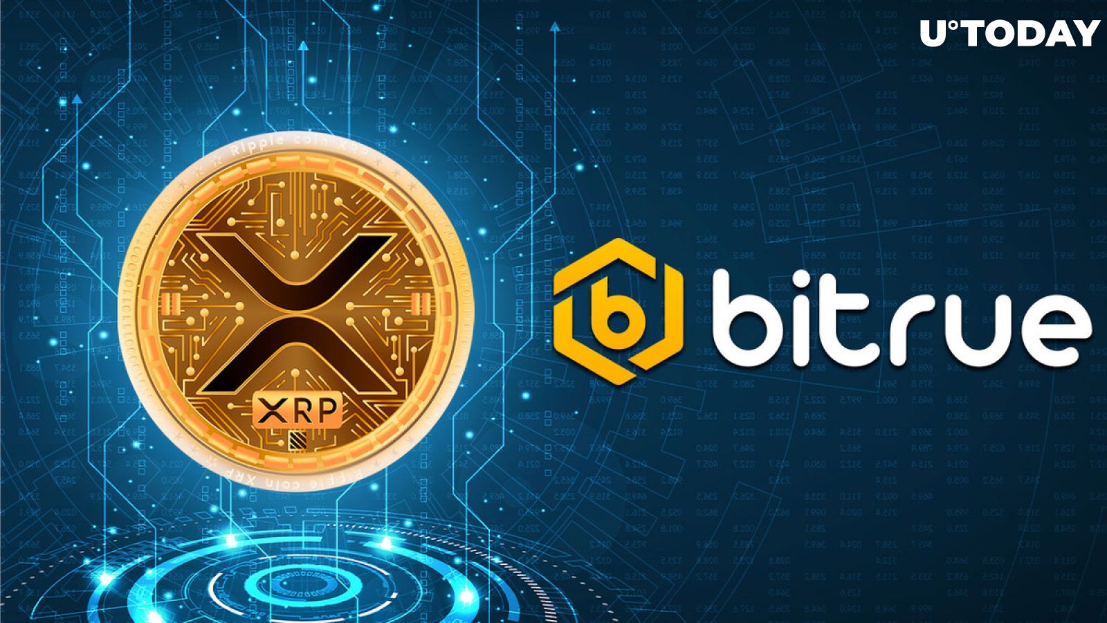 XRP: Crypto Exchange Bitrue Shares Important Update for XRP Holders