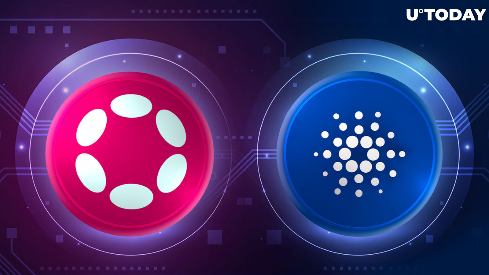 Polkadot (DOT) Makes Cardano Announcement, What Does It Relate To?