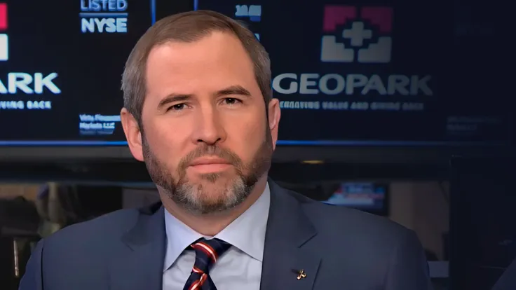 Ripple CEO Teases "Proverbial Cage Match"