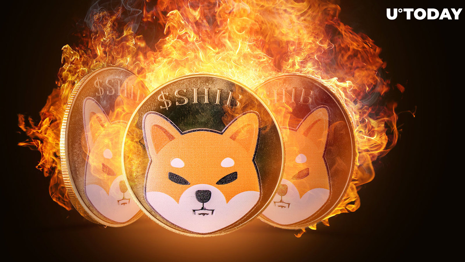 SHIB Weekly Burn Rate Jumps as Shiba Inu Hits Network Milestone