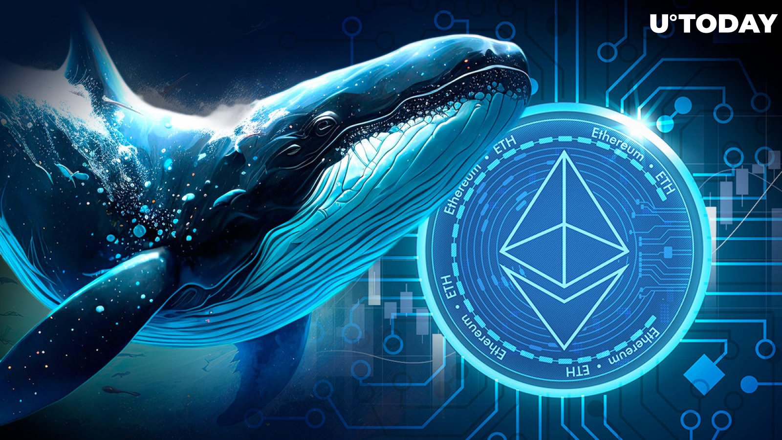 Ethereum (ETH) Bullish Whales Coming Back With Enormous Longs