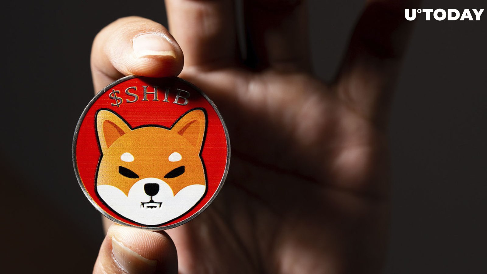 Shiba Inu Lead Teases Community with "Year-Ending Surprise" 
