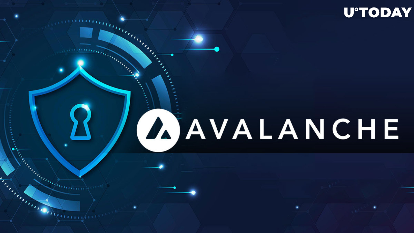 Avalanche (AVAX) Achieves Network Transaction ATH: Driving Forces Behind It