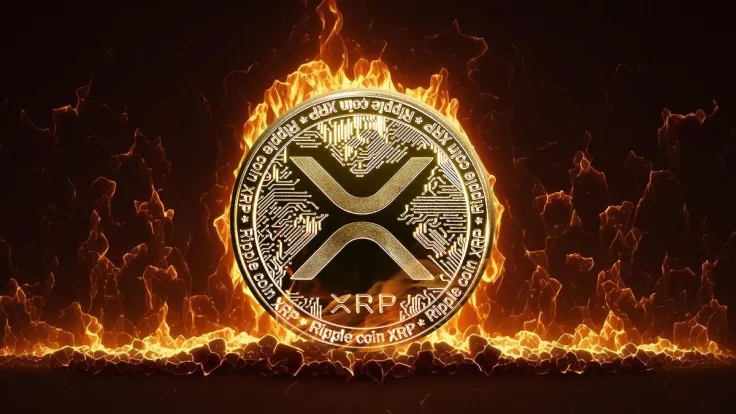 XRP's Hidden Secret: Daily Burns Exposed in Important New Update