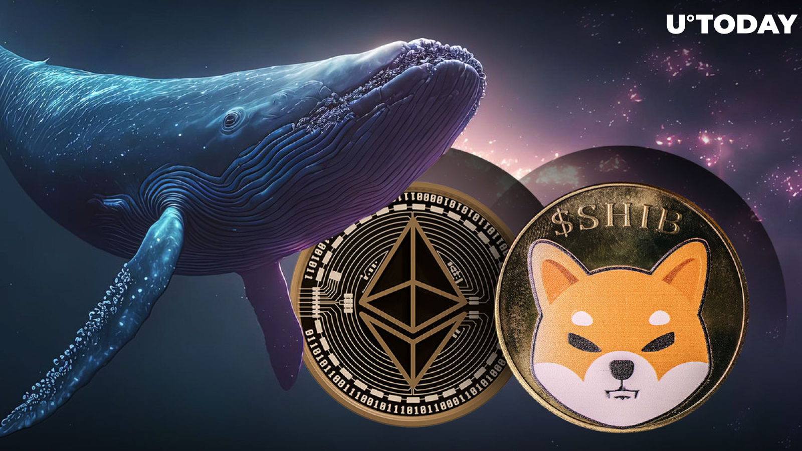$1.6 Billion Profit Made on SHIB, ETH in One Year by Smart Whale: Details