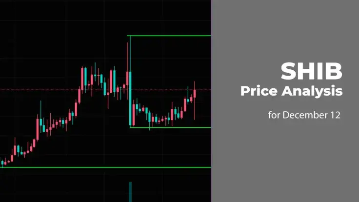 SHIB Price Analysis for December 12