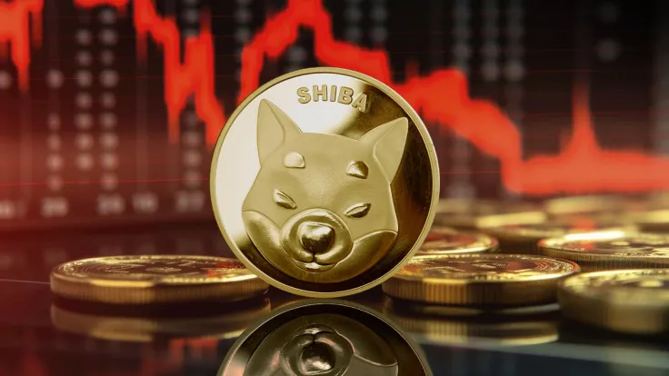 4.2 Trillion SHIB Moved as SHIB Price Drops 16.55%