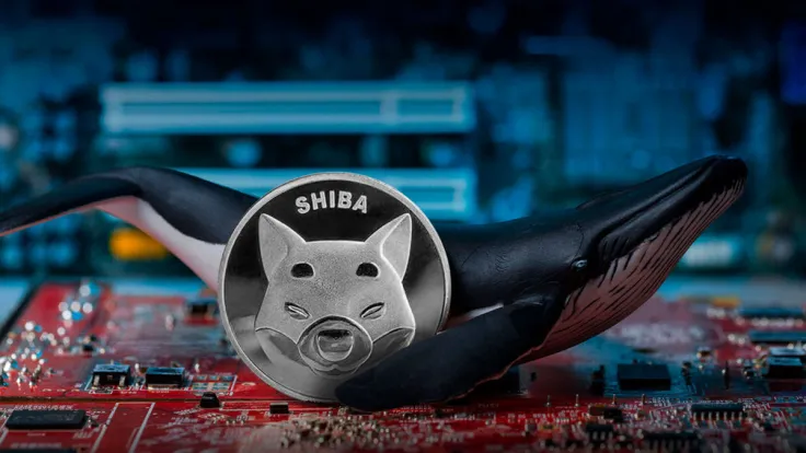 14 Trillion Shiba Inu (SHIB) Moved by Whales in Last 24 Hours: What's Behind It?