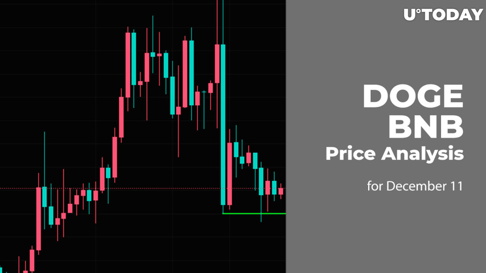 DOGE and BNB Price Analysis for December 11