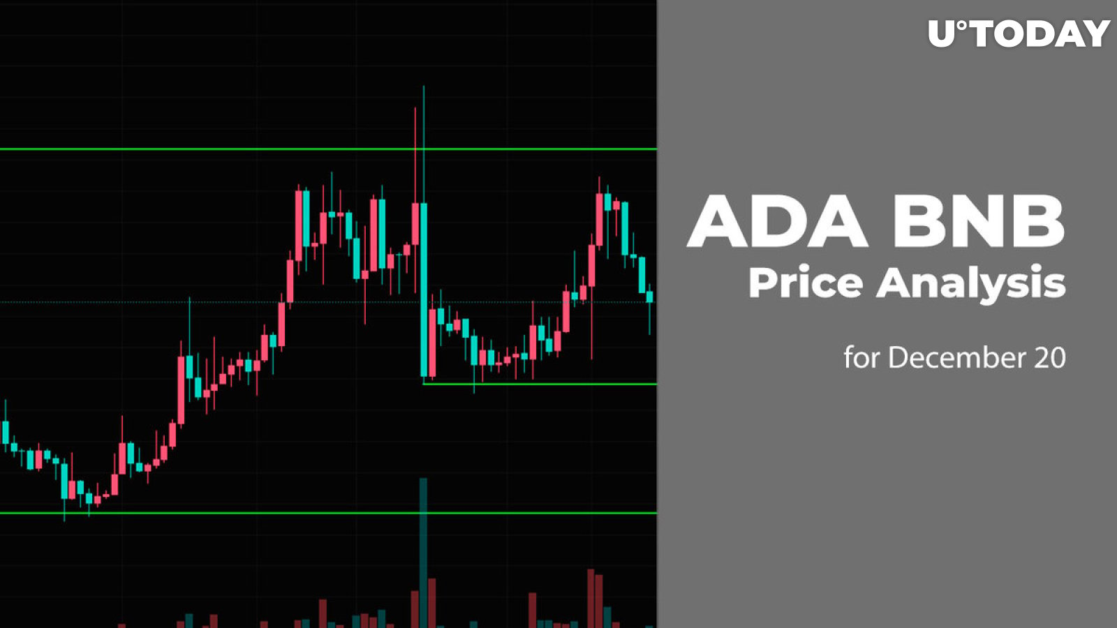 ADA and BNB Price Analysis for December 20