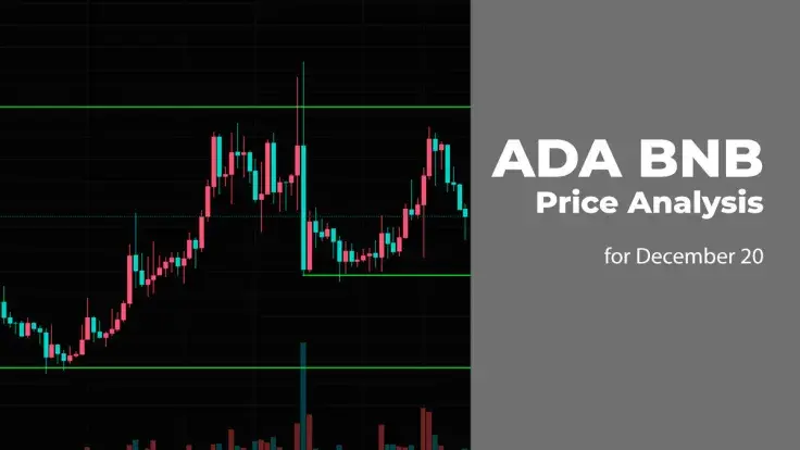 ADA and BNB Price Analysis for December 20