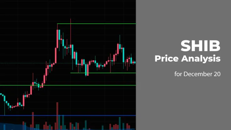 SHIB Price Analysis for December 20