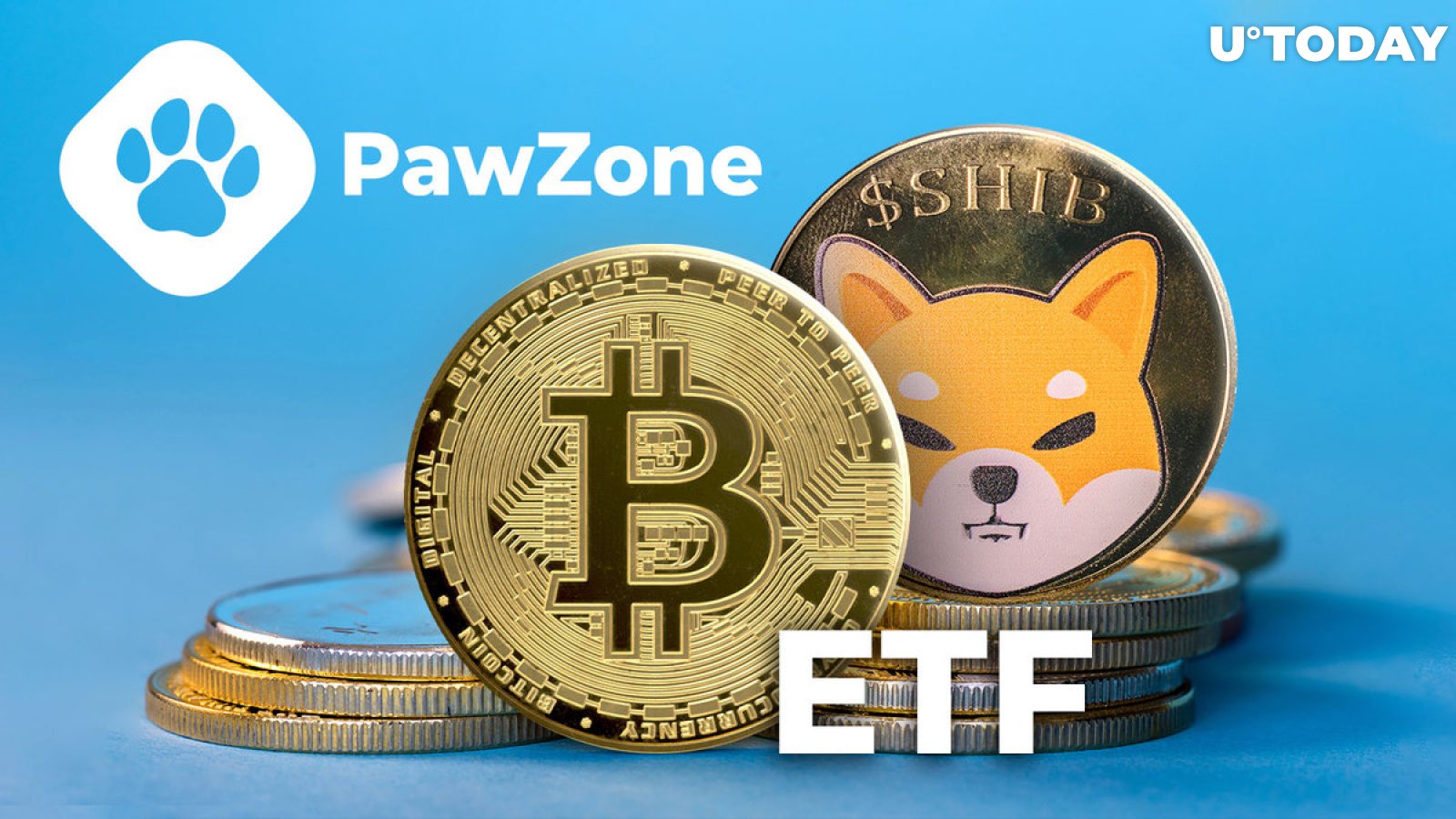 Bitcoin ETF May Have Tremendous Impact on SHIB Price: PawZone Founder