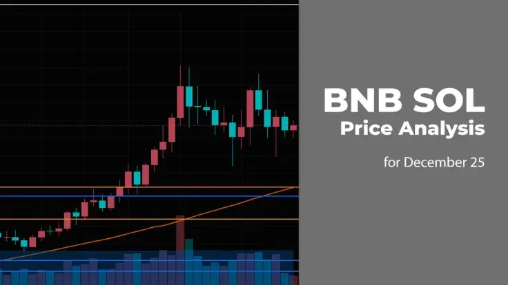 BNB and SOL Price Analysis for December 25