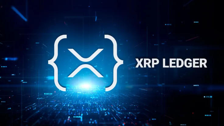 XRP Ledger Witnesses Unusual 350% Transaction Spike, But There's a Catch