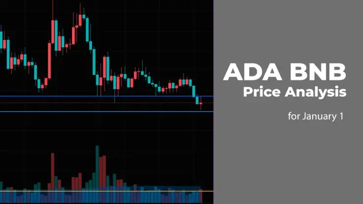 ADA and BNB Price Analysis for January 1