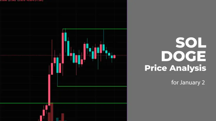 SOL and DOGE Price Analysis for January 2