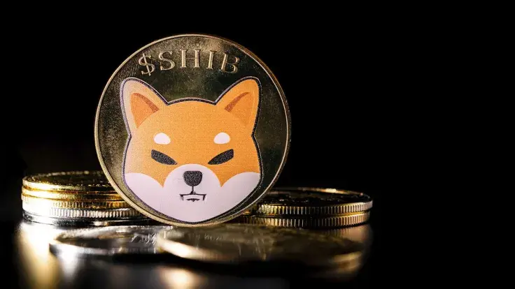 136.86 Billion SHIB Grabbed by Fresh Wallet as Price Burns Zero