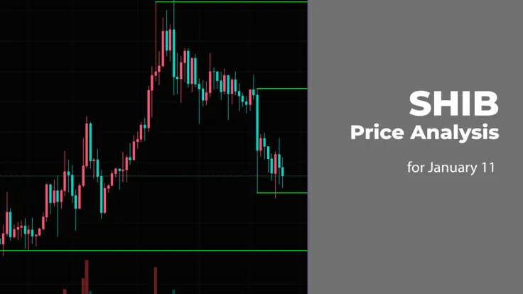 SHIB Price Analysis for January 11