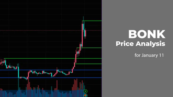 BONK Price Analysis for January 11
