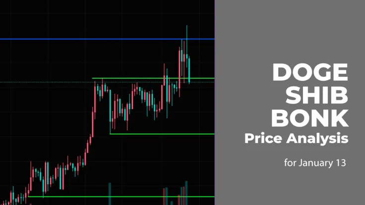 DOGE, SHIB and BONK Price Analysis for January 13