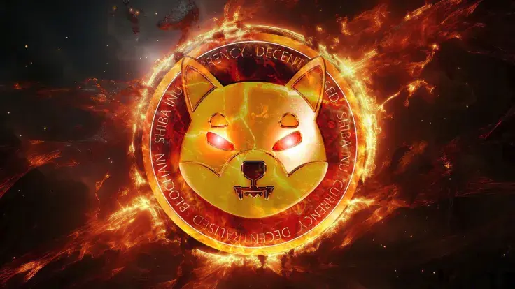 SHIB Burns Soar 5,891% This Week, but There's Big Catch