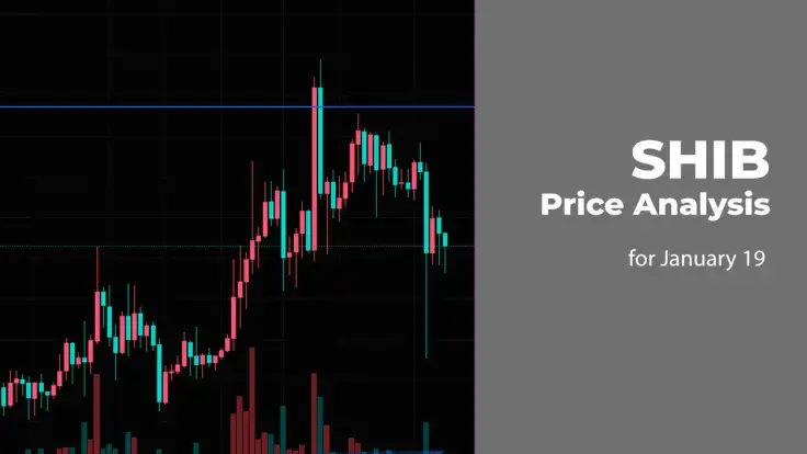 SHIB Price Analysis for January 19