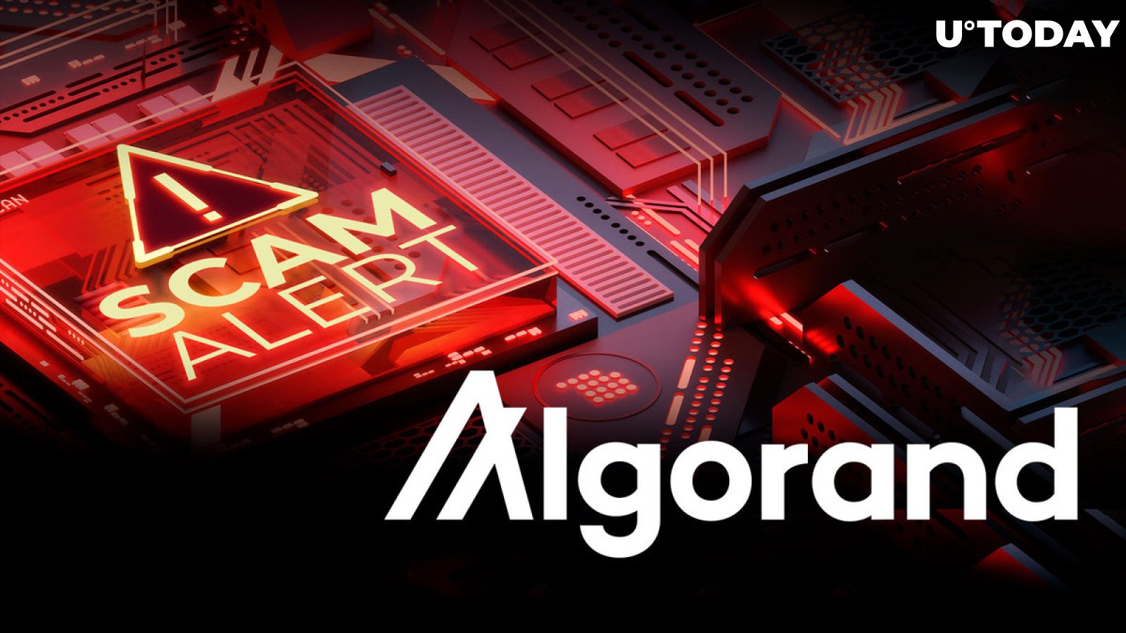 Scam Alert: Algorand Founder X Account Hacked, Be Careful