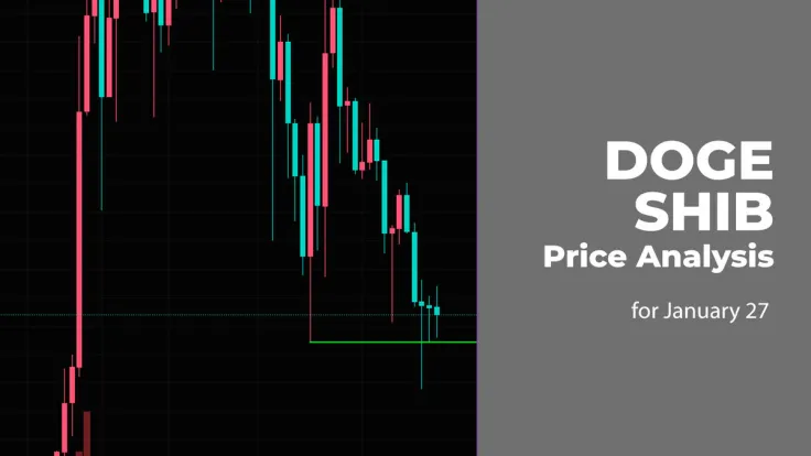 DOGE and SHIB Price Analysis for January 27