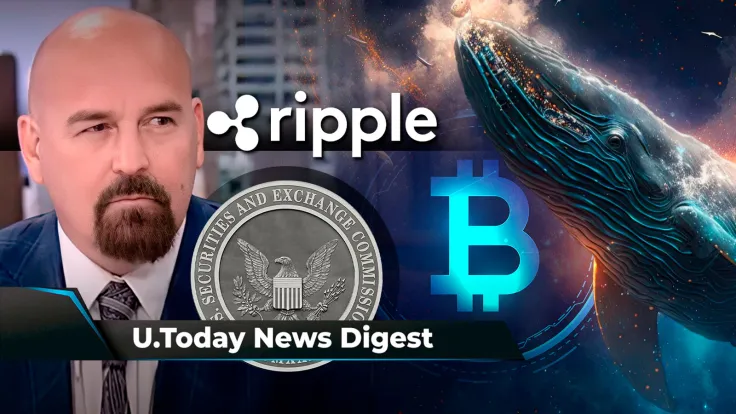 Bitcoin Whales Boost Holdings by $3 Billion, Pro-XRP Lawyer Highlights Key Factor in Ripple's Win, SHIB Price History Hints at Double-Digit Gains Next Month: Crypto News Digest by U.Today