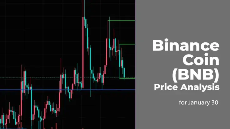 Binance Coin (BNB) Price Analysis for January 30