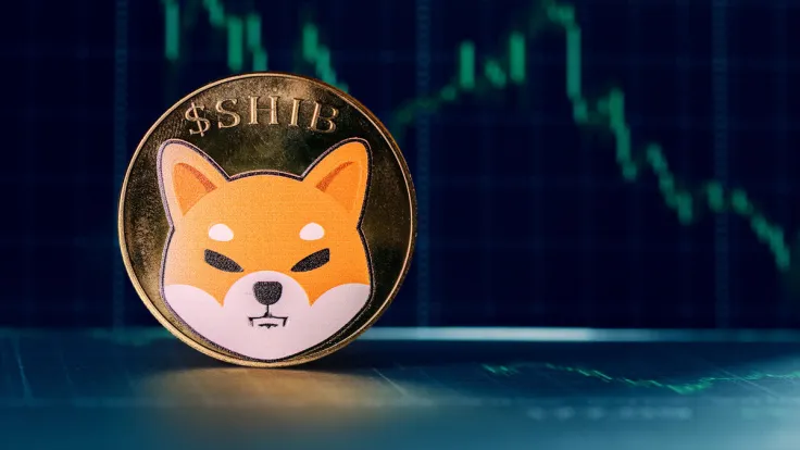 Shiba Inu (SHIB) Whales Disappear