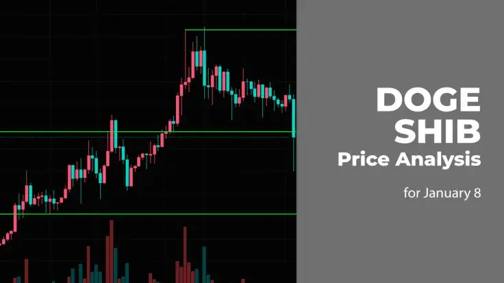 DOGE and SHIB Price Analysis for January 8