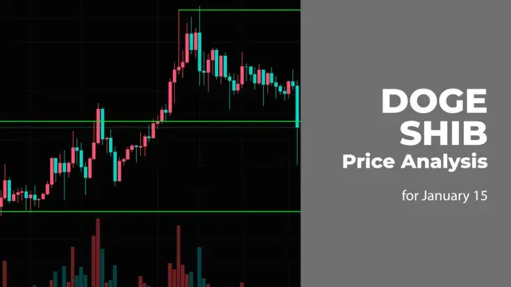 DOGE and SHIB Price Analysis for January 15