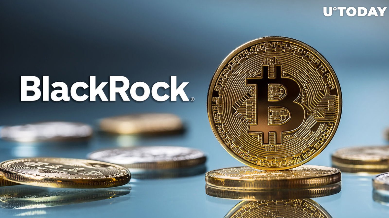 BlackRock's Updated Bitcoin (BTC) Holdings Uncovered, Hold on Tight