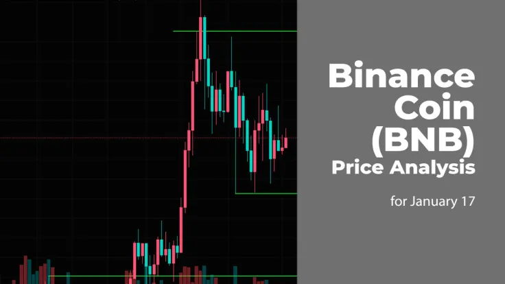 Binance Coin (BNB) Price Analysis for January 17