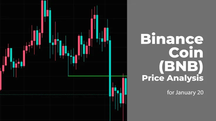 Binance Coin (BNB) Price Analysis for January 20