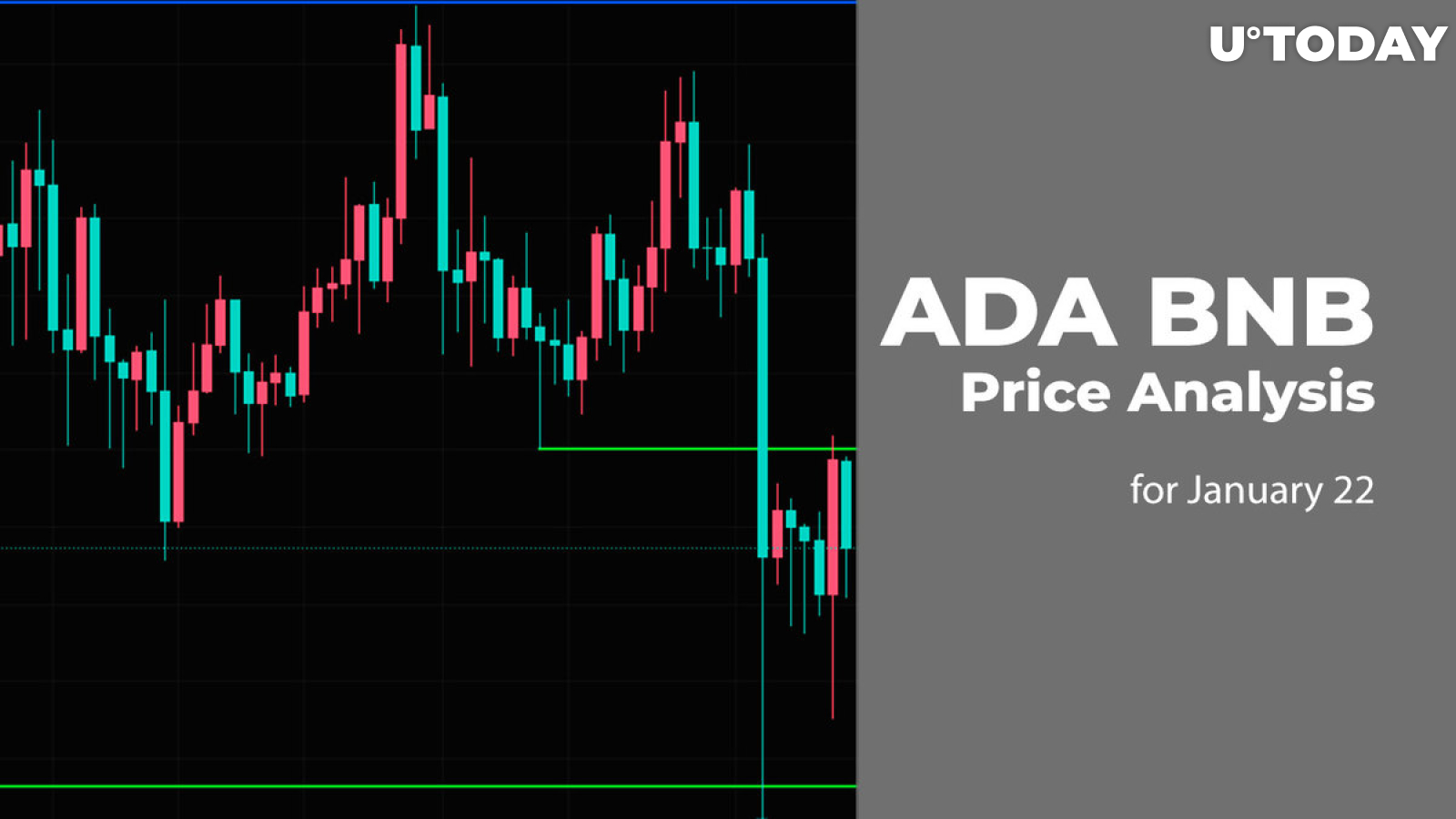 ADA and BNB Price Analysis for January 22