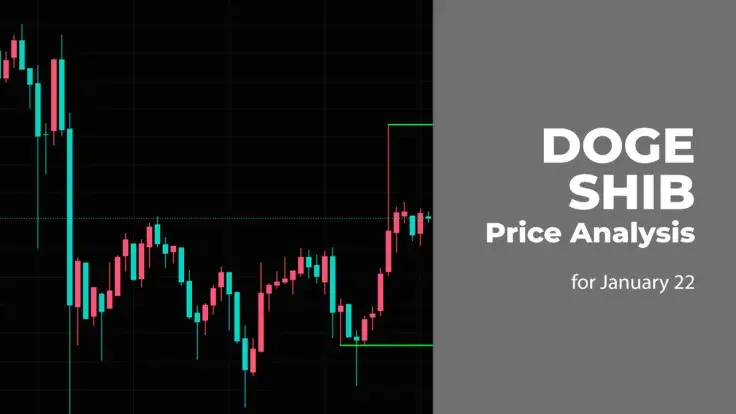 DOGE and SHIB Price Analysis for January 22