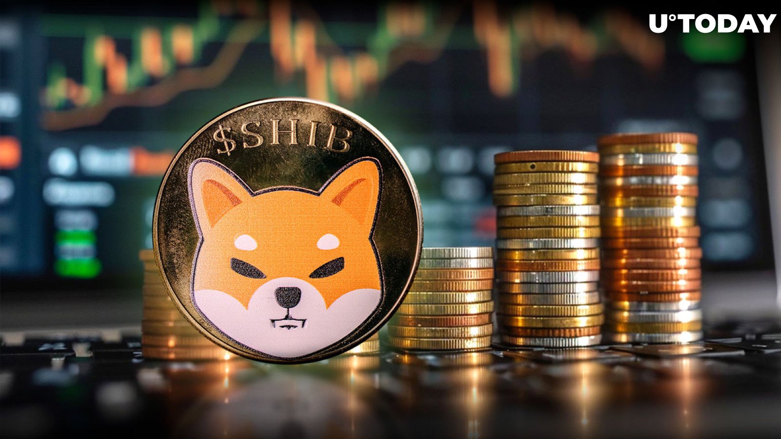 600 Billion Shiba Inu (SHIB) Tokens in 24 Hours: Where Does It All Go?
