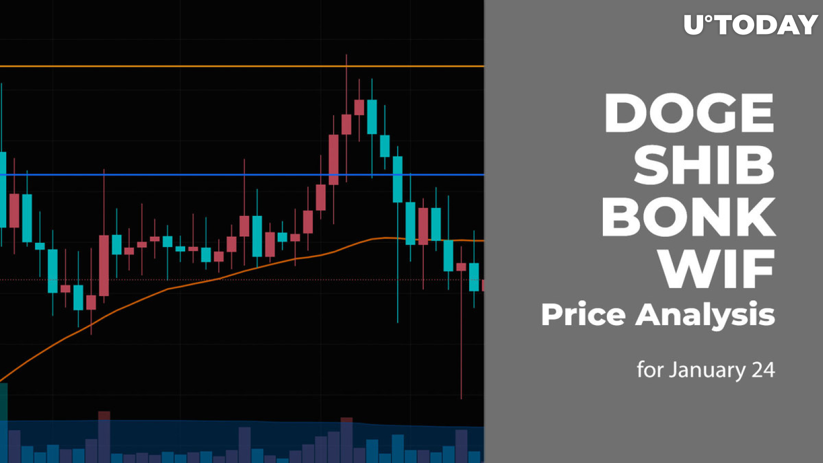 DOGE, SHIB, BONK and WIF Price Analysis for January 24