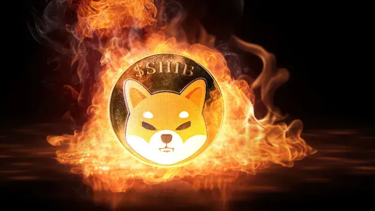 SHIB on Fire as Burn Rate Skyrockets 4,907%, Shiba Inu Price Next?