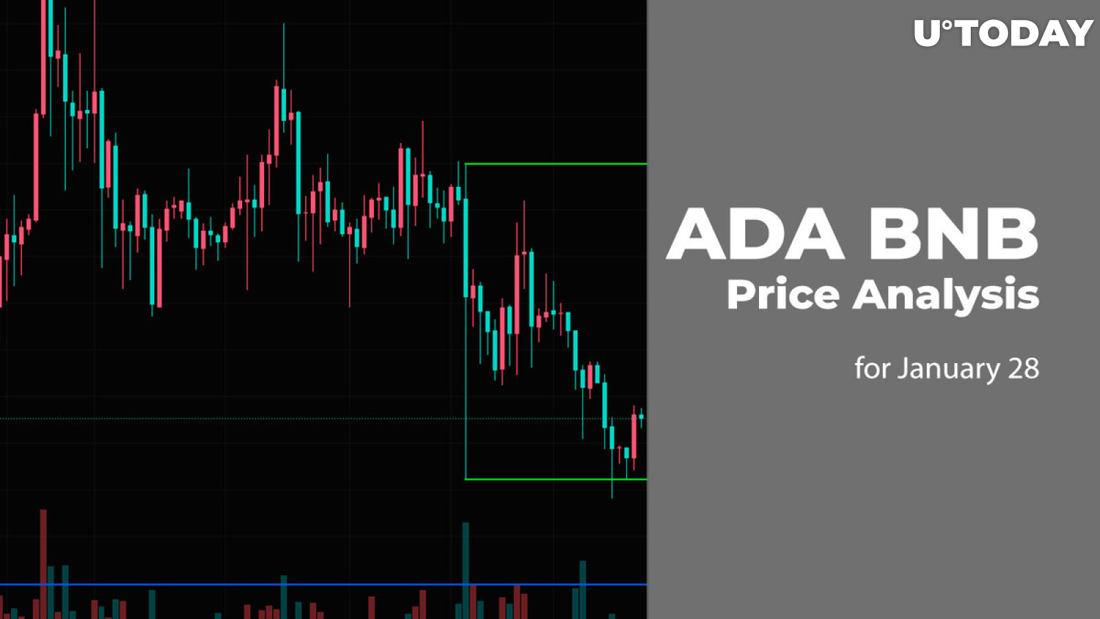ADA and BNB Price Analysis for January 28