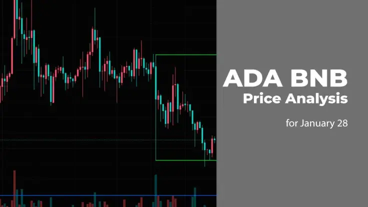 ADA and BNB Price Analysis for January 28