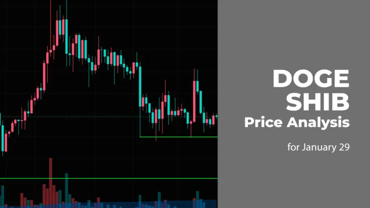 DOGE and SHIB Price Analysis for January 29