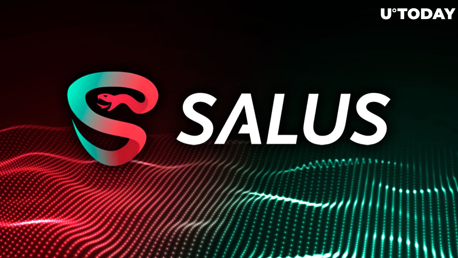 Salus Introduces ZK-Powered Solutions for EVM