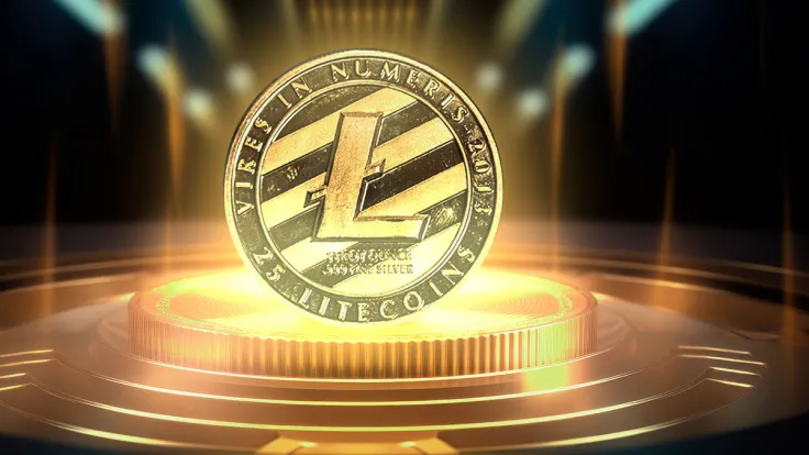Litecoin (LTC) Smashes New All-Time High But Not in Price