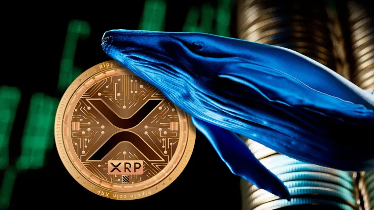 XRP Whale Transactions Surge Amid Price Drop