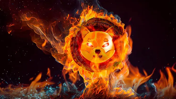 Important SHIB Burn Clarification Made by Shiba Inu Member